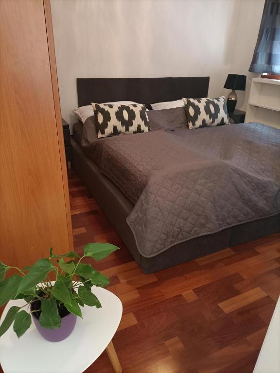 Mandala Budapešť